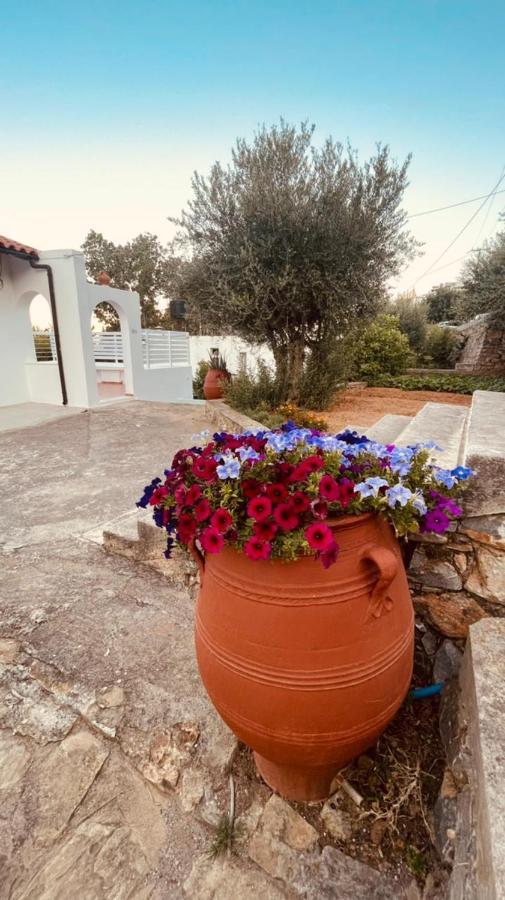 Havania Studio Agios Nikolaos Exterior foto